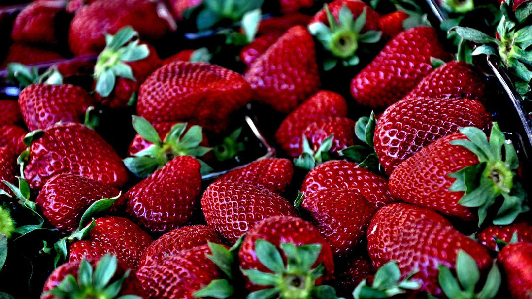 The Importance of Anthocyanins in Daily Diet