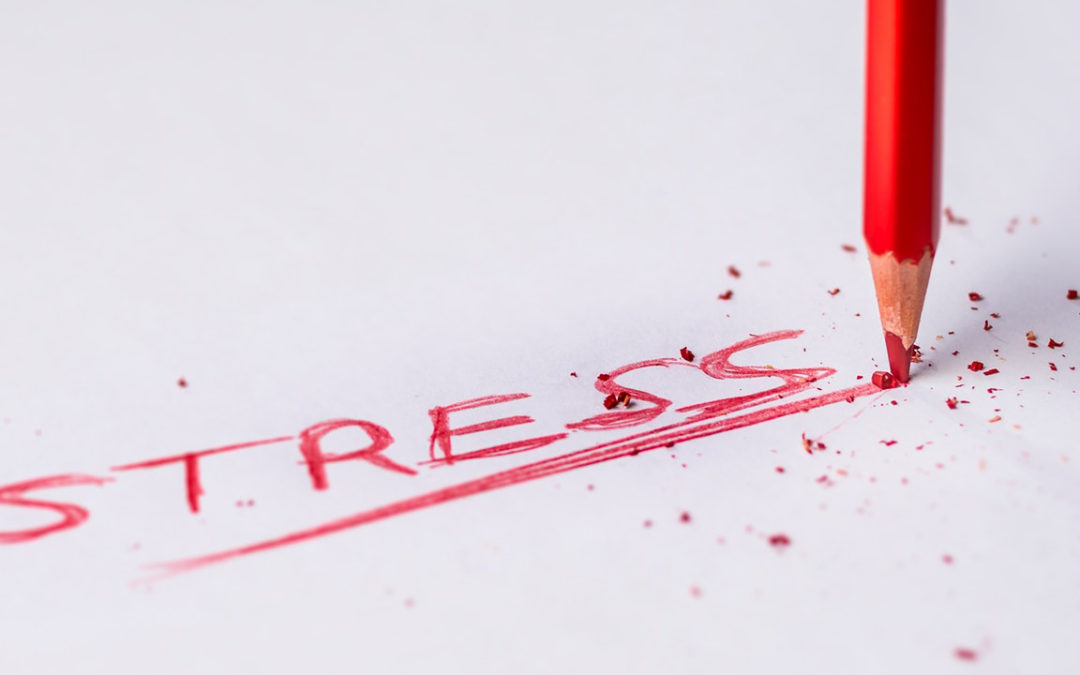 A Great Lesson on Stress